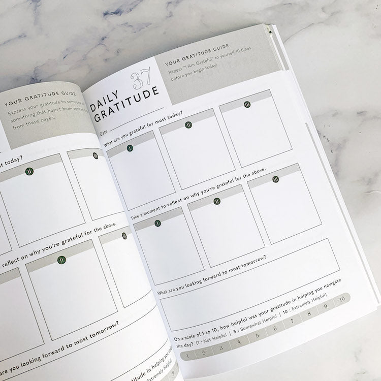 Daily Gratitude Journal
