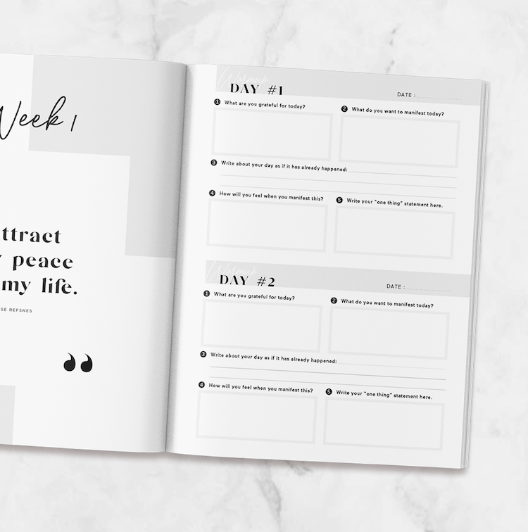 Manifesting Journal
