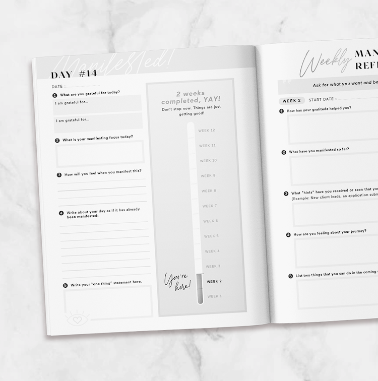 Manifesting Journal