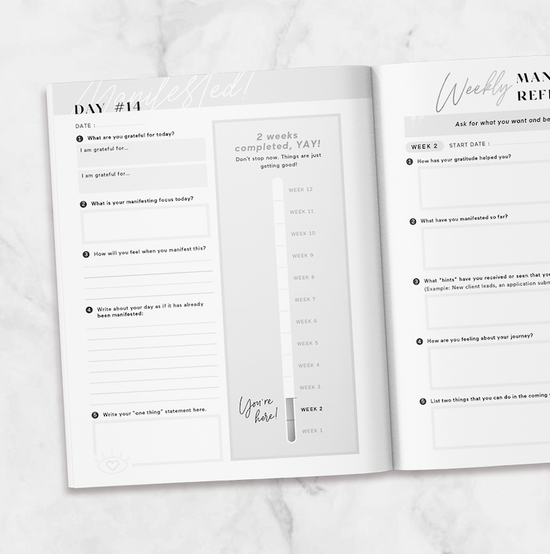 Manifesting Journal | Manifestation Planner – Lovet Planners